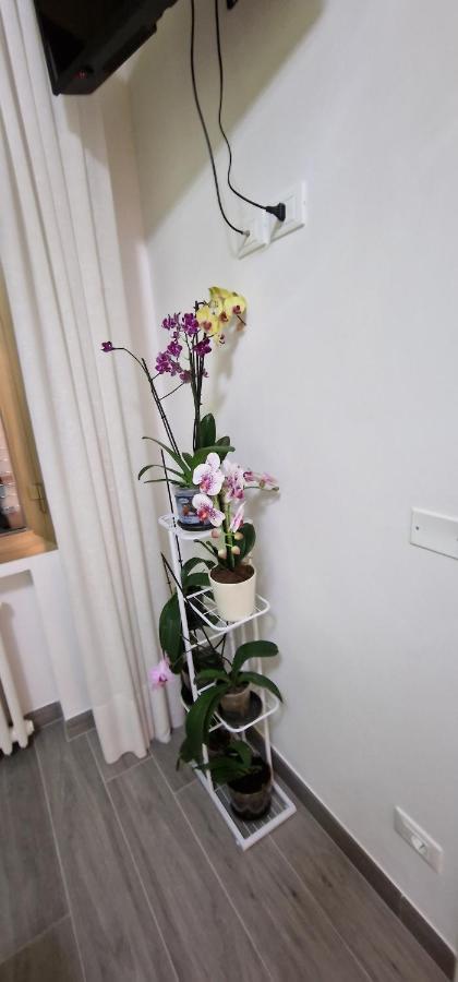 Orchidea Bed & Breakfast Bologna Bagian luar foto