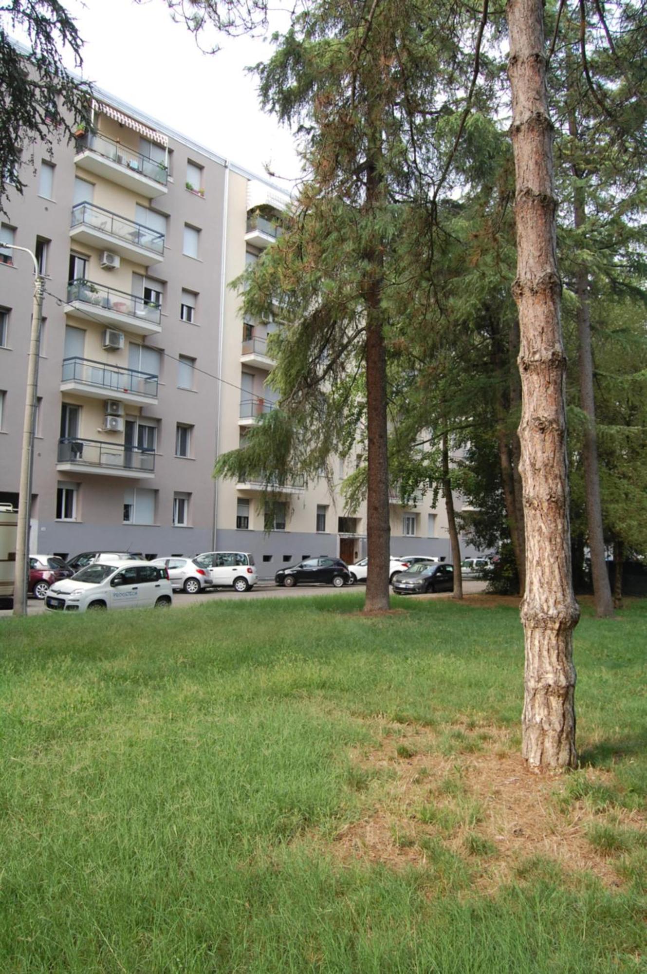 Orchidea Bed & Breakfast Bologna Bagian luar foto